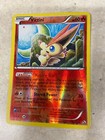 Victini