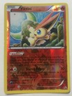 Victini