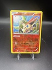 Victini