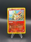 Victini