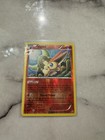 Victini