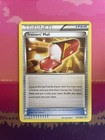 Trainers' Mail