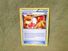 Trainers' Mail