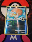 Mamoswine GL