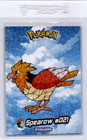 Spearow