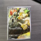 Cutiefly