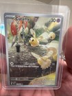 Cutiefly