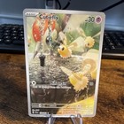 Cutiefly