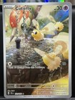 Cutiefly
