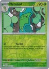 Metapod
