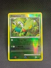 Treecko