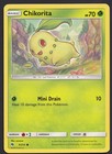 Chikorita