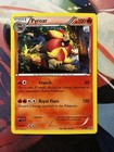 Pyroar