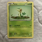 Snivy