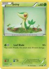 Snivy