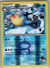 Team Aqua's Sealeo