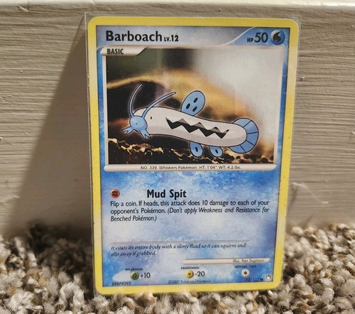 Barboach