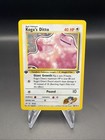 Koga's Ditto