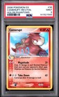 Camerupt
