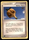 Balloon Berry