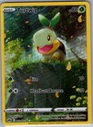 Turtwig