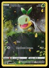 Turtwig