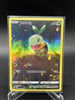 Turtwig