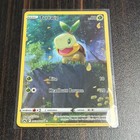Turtwig