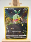 Turtwig