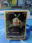 Turtwig