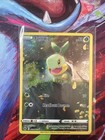 Turtwig