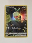 Turtwig