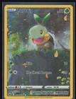 Turtwig