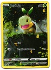 Turtwig