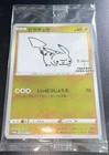 Pikachu [Nagaba Holo] 