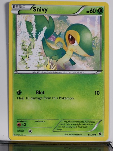 Snivy