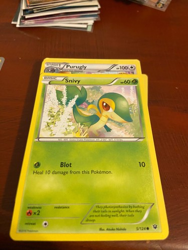 Snivy