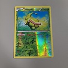 Caterpie