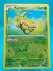 Caterpie
