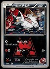 Team Magma's Poochyena