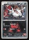 Team Magma's Poochyena