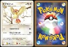 Pidgeotto