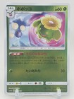 Skiploom