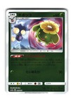 Skiploom