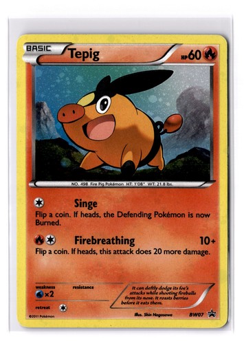 Tepig