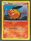 Tepig