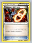 Houndoom Spirit Link