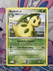 Bayleef
