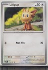 Lillipup