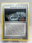 Mysterious Fossil